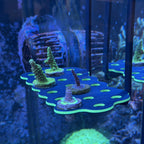Hang-On Coral Frag Rack - 3Dreefing-Solutions